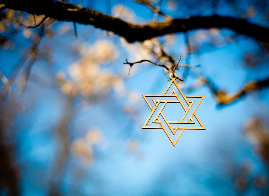 A Star of David hangs from a branch.
