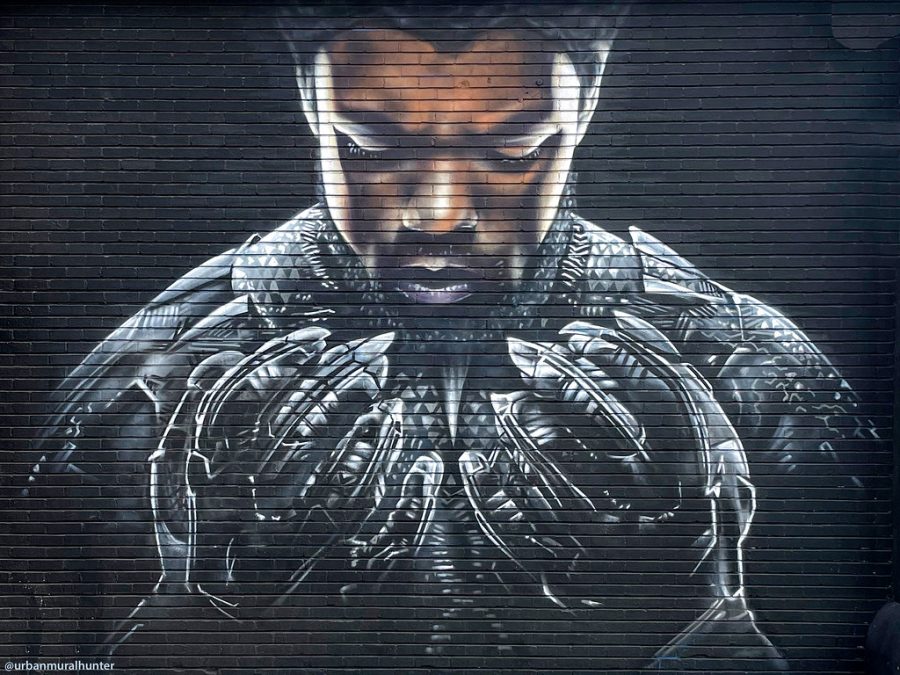 Black Panther: Wakanda Forever was released in theaters November 11, 2022.