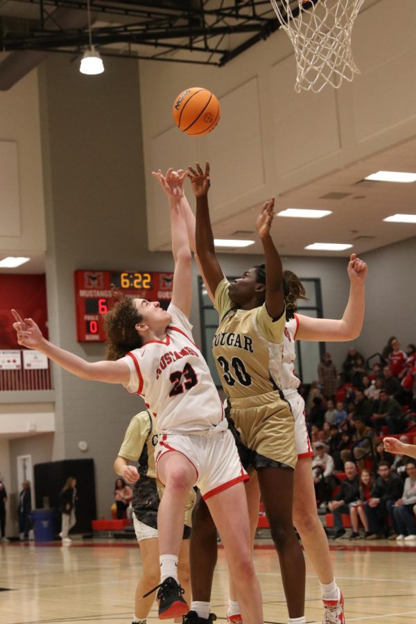Sophomore forward Nora Stufft is fouled during a layup. (Photo by Stella Turner)