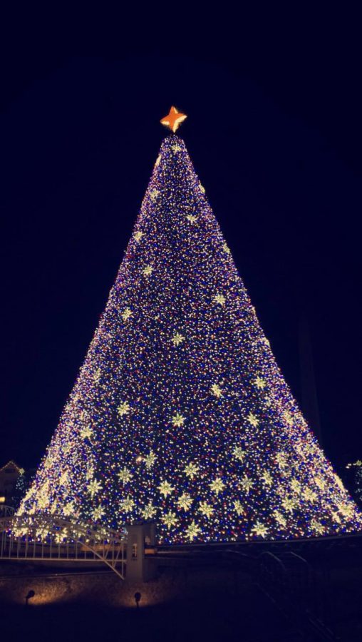 Light-up Christmas tree