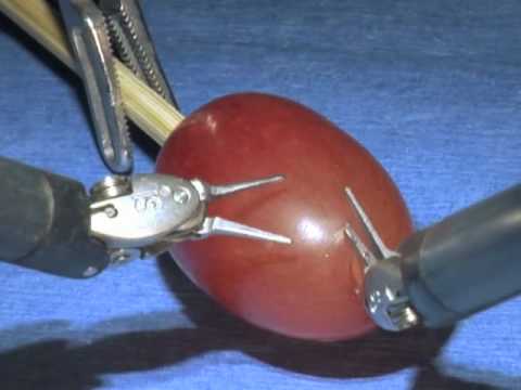 Surgical tools peeling the skin off a grape.