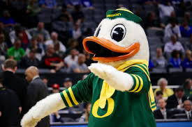 The Oregon Duck stands at a basketball game.