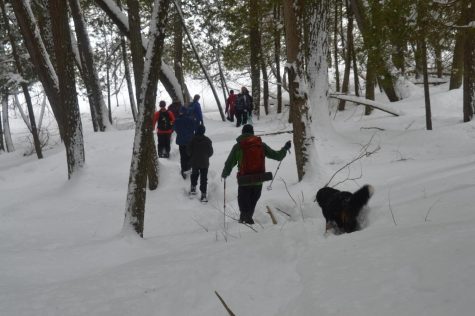 An image of a group entering the Sylvania Wilderness