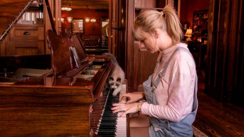 taylor swift playing piano with cat