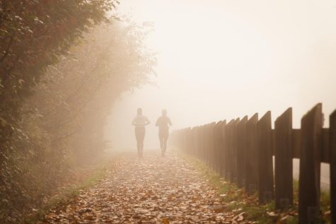 Two joggers run on a foggy morning in the woods.