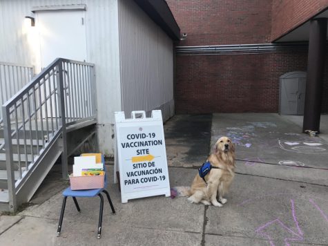 a dog near the enter vaccine clinic sign