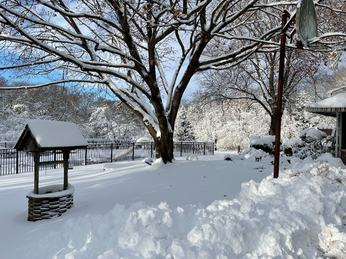 A Falls Church backyard covered in a blanket of white snow. (Photo courtesy of Sophia Borghesani)