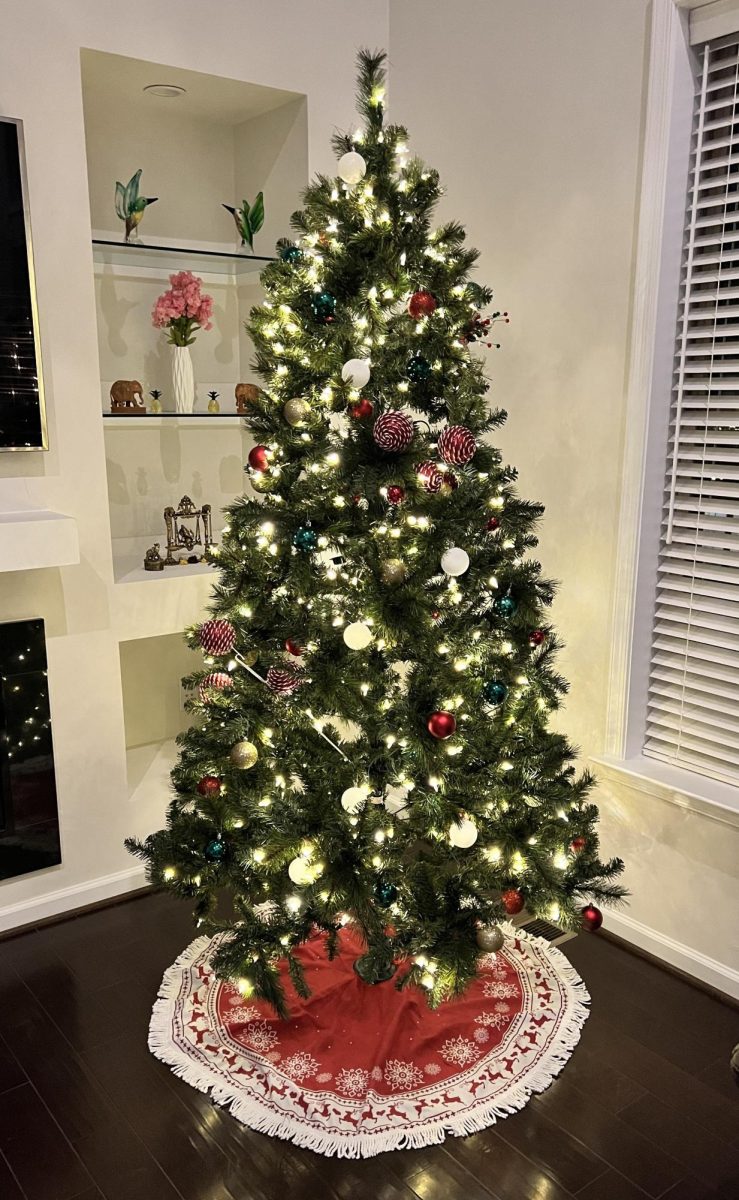 Christmas trees have long been a staple of the holiday season. However, as some families are moving towards plastic trees for their efficiency and low cost, the question arises: which is better? (Photo via wikimedia commons)
