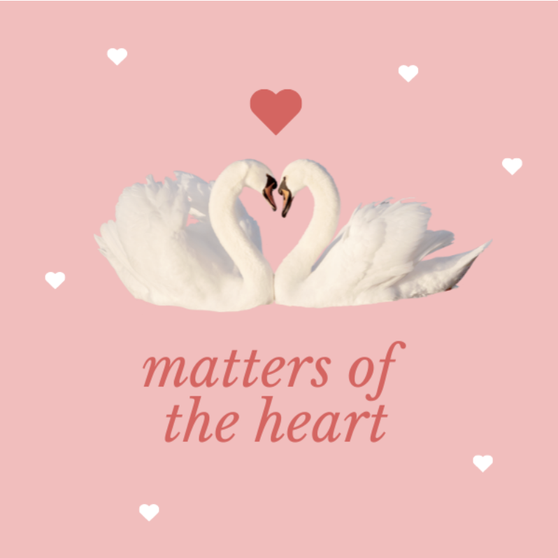 This Valentine's Day, we've got you covered. 