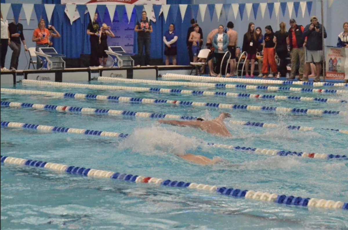 Senior Ryan Southern (furthest lane) swims butterfly (Photo courtesy of Valeria Wright)