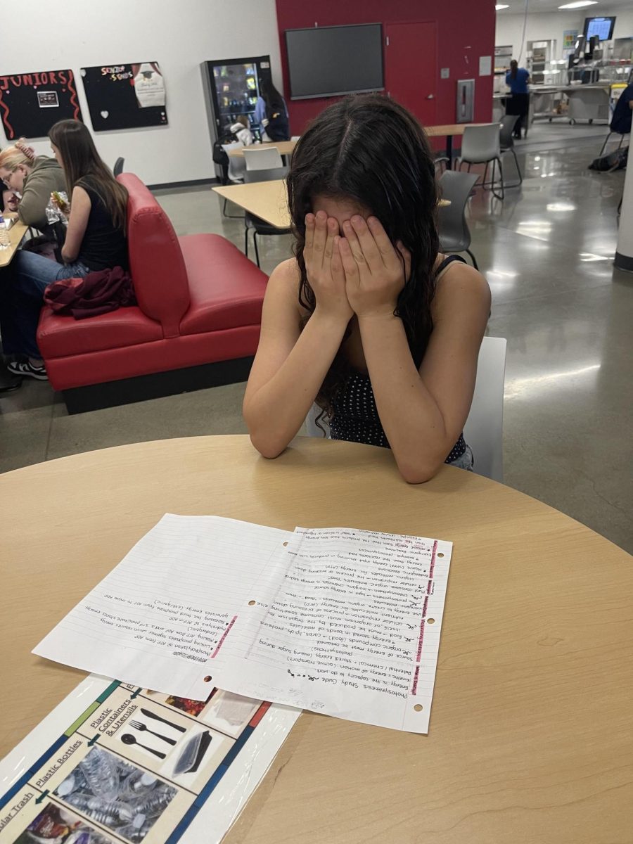 Freshman Nairi Kleinfeld faces burnout while studying for her upcoming exams. (Photo via Grace Simpson)