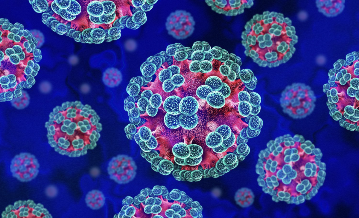 Image of disease cells under a microscope.